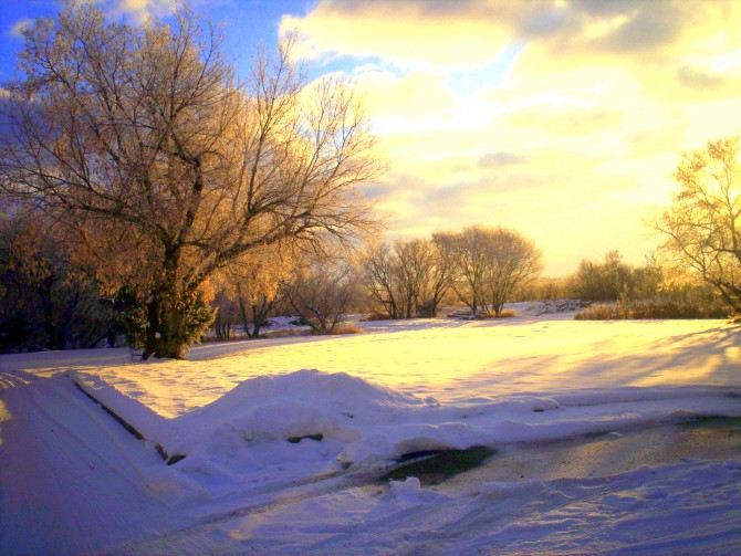 Make your home winter ready