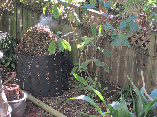 Garden Tip: Create your own compost for a green garden