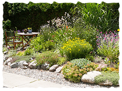 Xeriscaping – A sustainable landscape option