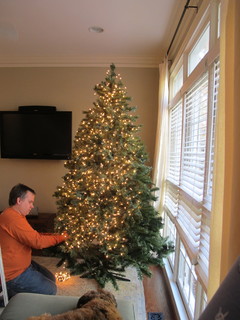 How To Light Your Christmas Tree Like a Pro!